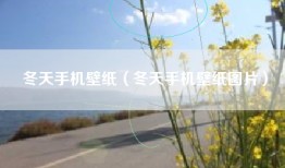 冬天手机壁纸（冬天手机壁纸图片）
