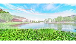 渠道代表·经销商