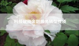科技赋能金融服务转型提质