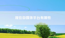 现在自媒体平台有哪些