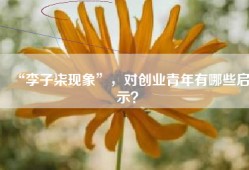“李子柒现象”，对创业青年有哪些启示？