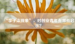 “李子柒现象”，对创业青年有哪些启示？