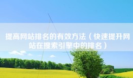 提高网站排名的有效方法（快速提升网站在搜索引擎中的排名）