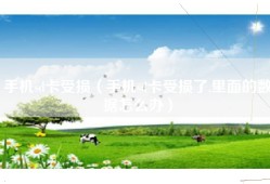 手机sd卡受损（手机sd卡受损了,里面的数据怎么办）