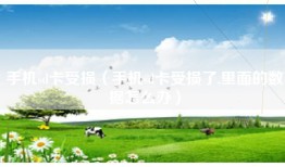 手机sd卡受损（手机sd卡受损了,里面的数据怎么办）