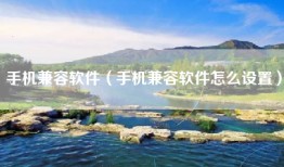 手机兼容软件（手机兼容软件怎么设置）