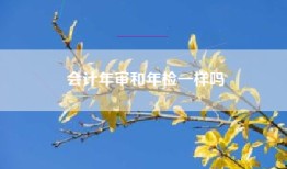 会计年审和年检一样吗