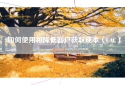 如何使用和降低客户获取成本（CAC）