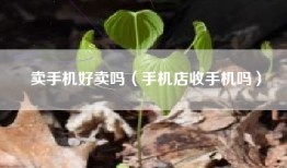 卖手机好卖吗（手机店收手机吗）