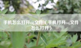 手机怎么打开caj文件（手机打开caj文件怎么打开）