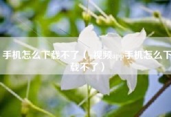 手机怎么下载不了（g视频app手机怎么下载不了）