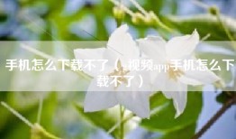 手机怎么下载不了（g视频app手机怎么下载不了）