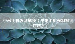 小米手机强制解锁（小米手机强制解锁方法）