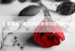 全面指南：如何高效使用百度搜索引擎