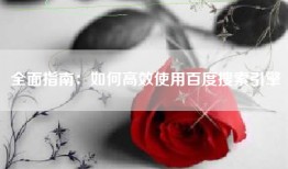 全面指南：如何高效使用百度搜索引擎