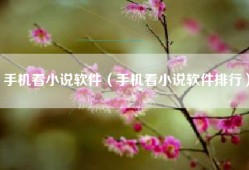 手机看小说软件（手机看小说软件排行）