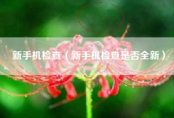 新手机检查（新手机检查是否全新）