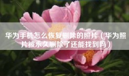 华为手机怎么恢复删除的照片（华为照片被永久删除了还能找到吗）