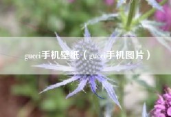 gucci手机壁纸（gucci手机图片）