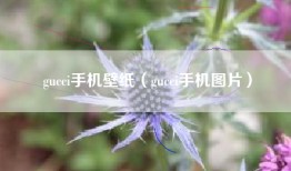 gucci手机壁纸（gucci手机图片）