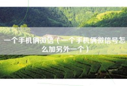 一个手机俩微信（一个手机俩微信号怎么加另外一个）