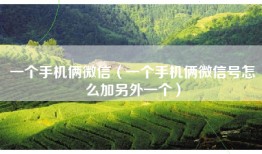 一个手机俩微信（一个手机俩微信号怎么加另外一个）