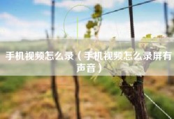手机视频怎么录（手机视频怎么录屏有声音）