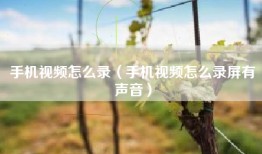 手机视频怎么录（手机视频怎么录屏有声音）