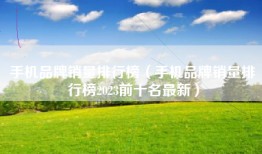 手机品牌销量排行榜（手机品牌销量排行榜2023前十名最新）