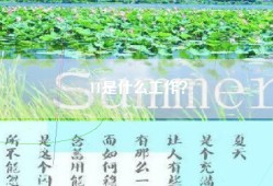 IT是什么工作？