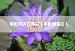 手机列表在哪里（手机列表图）