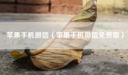 苹果手机微信（苹果手机微信免费版）