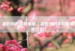 最好用的手机导航（最好用的手机导航是什么）