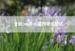 北航2020年OO第四单元总结