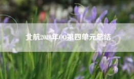 北航2020年OO第四单元总结