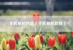 手机刷机网站（手机刷机教程）