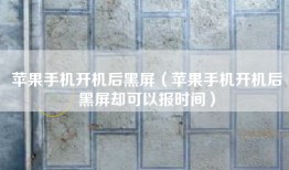 苹果手机开机后黑屏（苹果手机开机后黑屏却可以报时间）