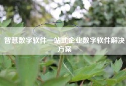 智慧数字软件一站式企业数字软件解决方案