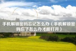 手机解锁密码忘记怎么办（手机解锁密码忘了怎么办才能打开）