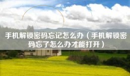 手机解锁密码忘记怎么办（手机解锁密码忘了怎么办才能打开）