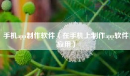手机app制作软件（在手机上制作app软件应用）