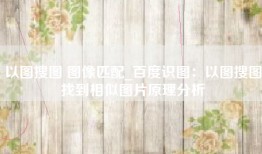 以图搜图 图像匹配_百度识图：以图搜图找到相似图片原理分析