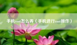 手机root怎么弄（手机进行root操作）