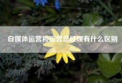 自媒体运营和运营总经理有什么区别