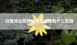 自媒体运营和运营总经理有什么区别