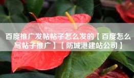 百度推广发帖帖子怎么发的【百度怎么写帖子推广】【防城港建站公司】