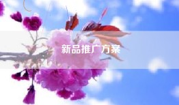 新品推广方案