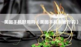 美图手机好用吗（美图手机有啥好的）