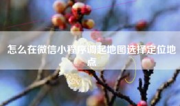 怎么在微信小程序调起地图选择定位地点
