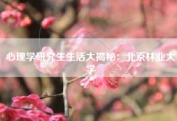 心理学研究生生活大揭秘：北京林业大学